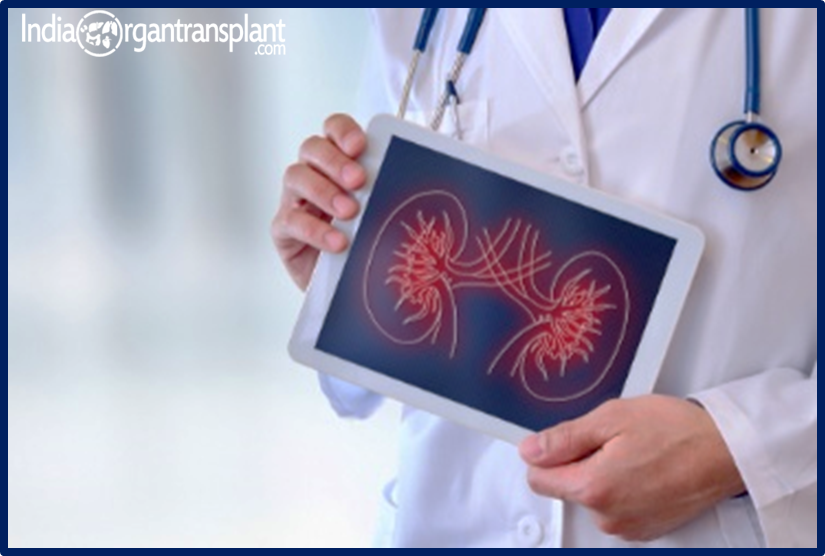 Meilleurs hôpitaux pour la transplantation rénale en Inde