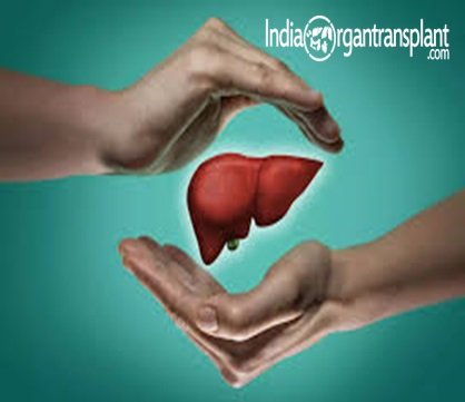 Prix ​​d'une greffe du foie en Inde